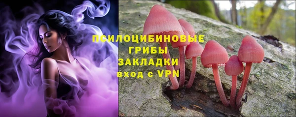круглые Ельня