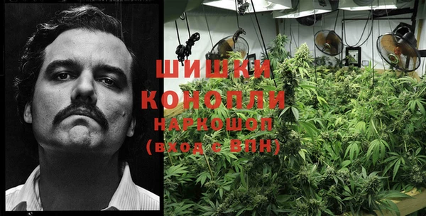 круглые Ельня