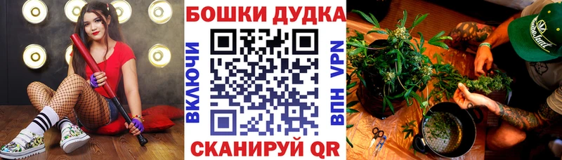 Бошки Шишки SATIVA & INDICA Перевоз